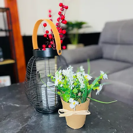 Apartman Belveder Near Centar *